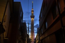 都心