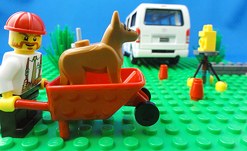 犬と測量