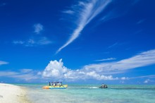 夏真っ盛り